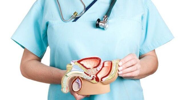 Caratteristiche della terapia