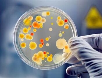 I batteri possono causare prostatite cronica