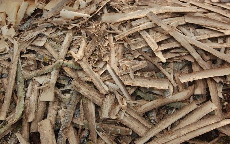 corteccia di pioppo tremulo per la prostatite