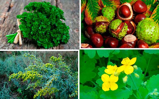 erbe per il trattamento della prostatite